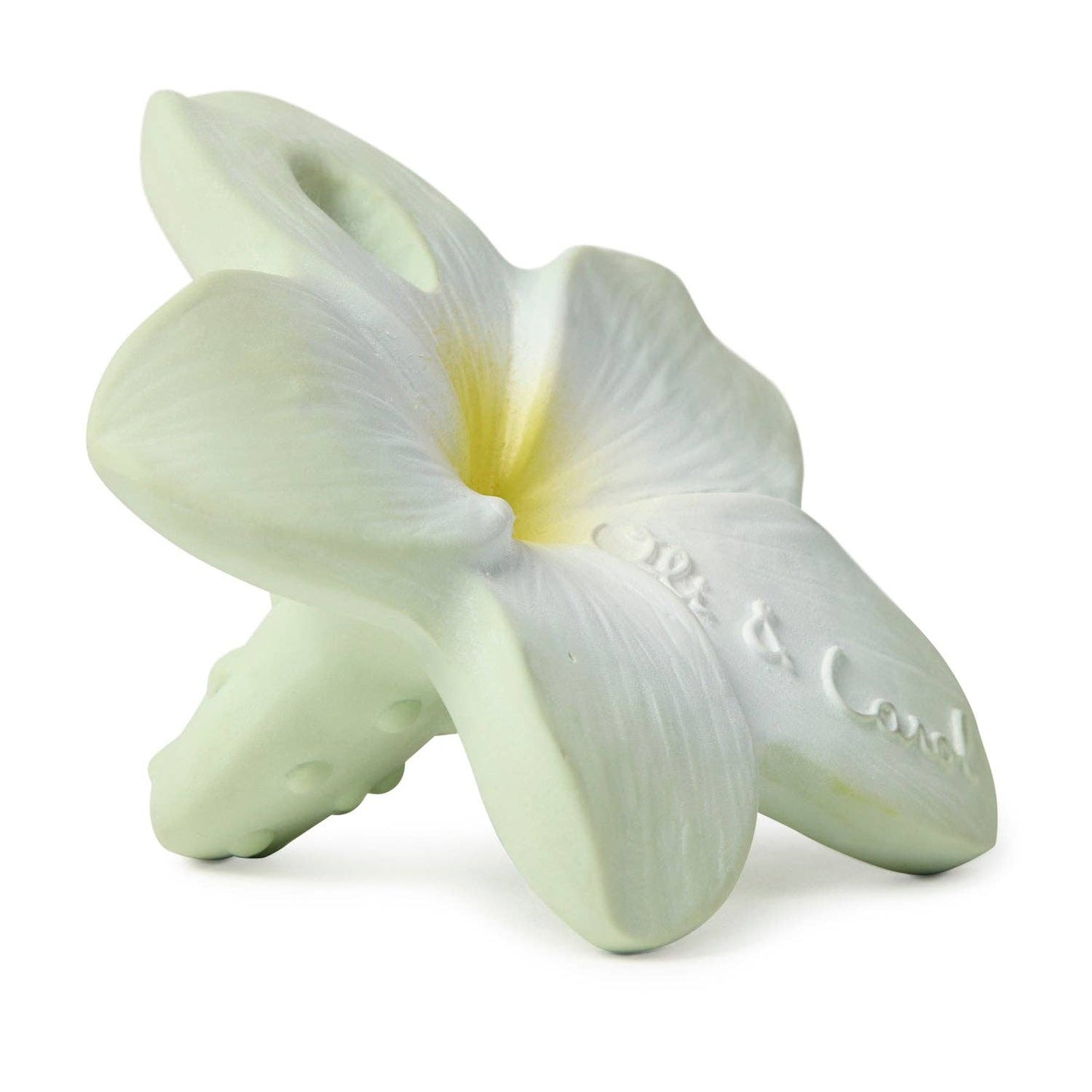 Bali the Flower