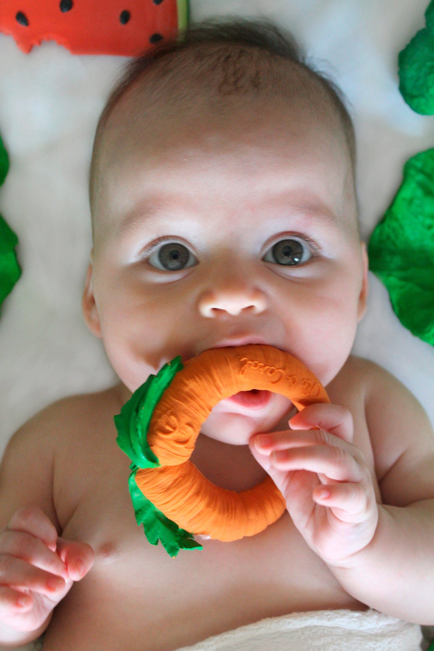 Cathy the Carrot