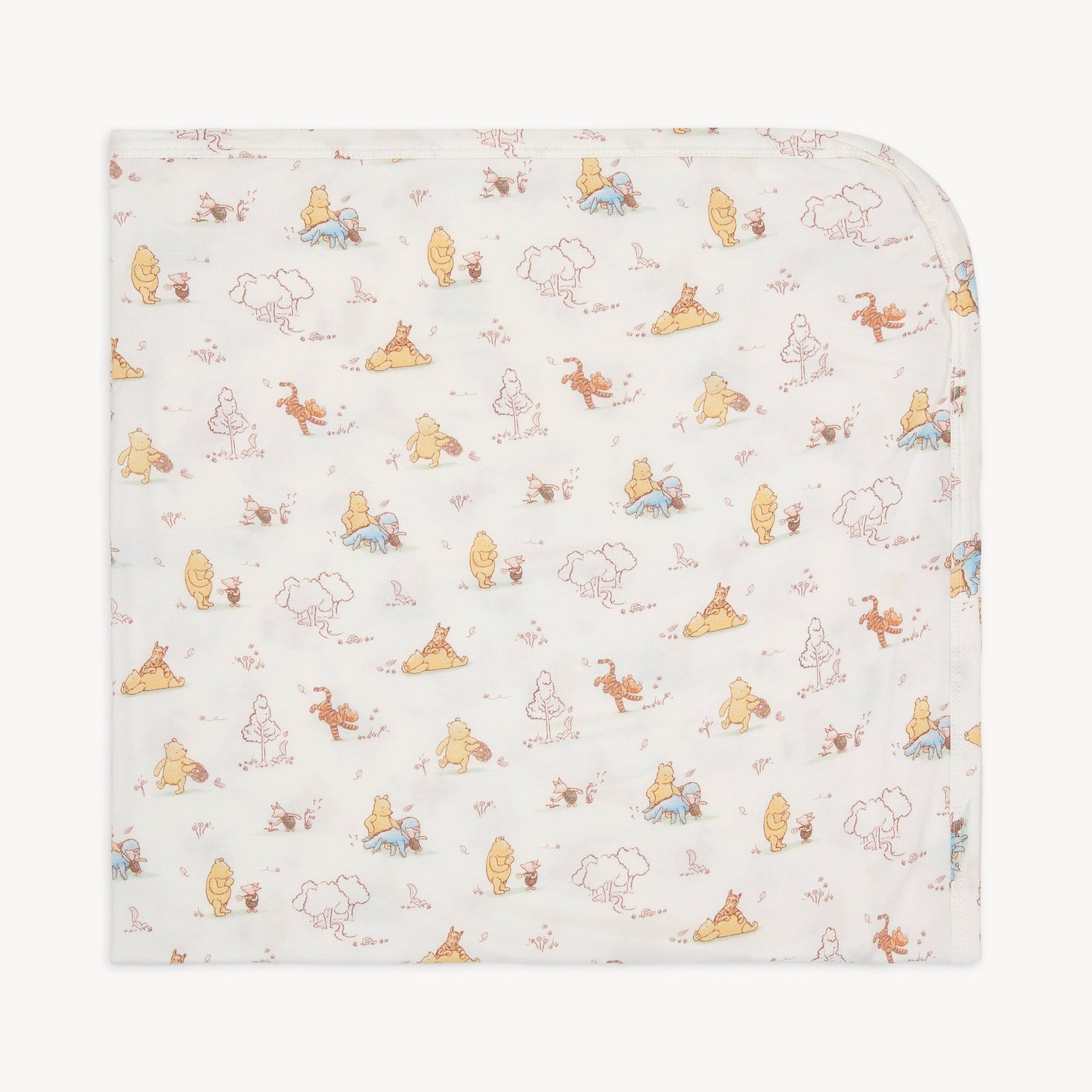 DISNEY MOMENTS WITH FRIENDS BABY BLANKET