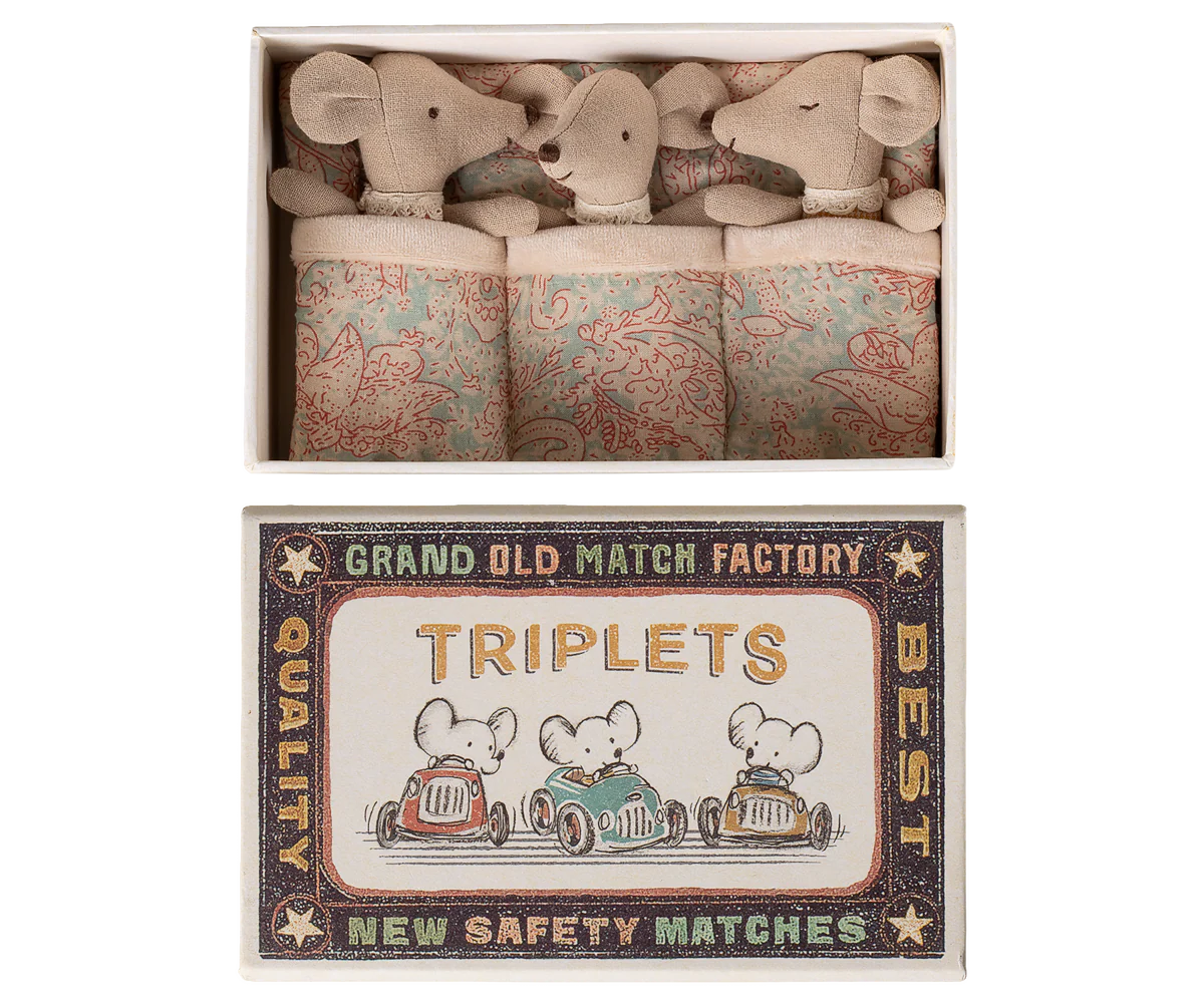 Triplets, Baby mice in matchbox - Checker