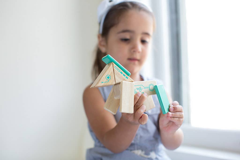 Robo - Magnetic Wooden Block Set