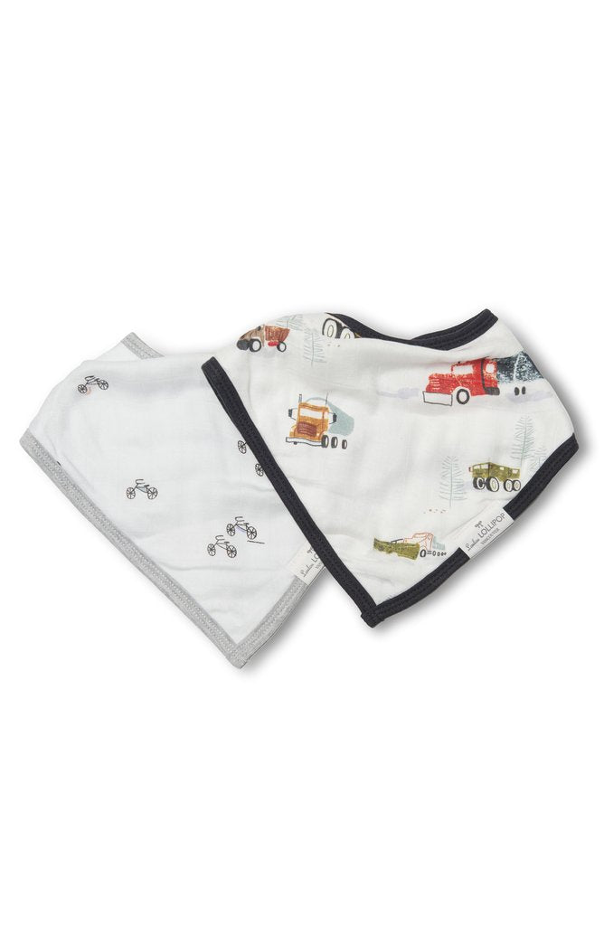 Bandana Bib Set