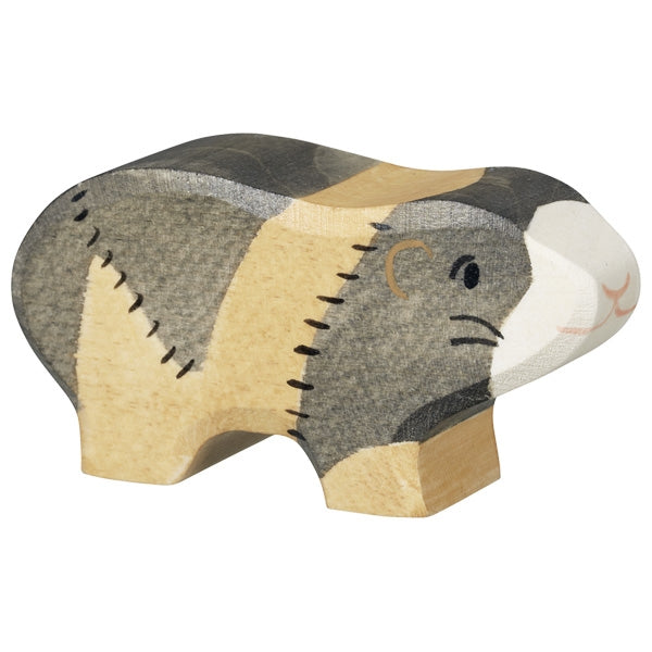 Guinea pig