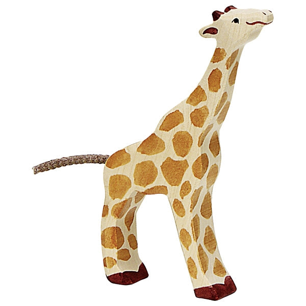Giraffe, small, feeding