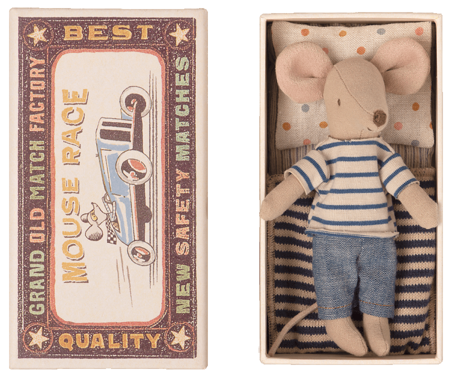 Big brother mouse in matchbox