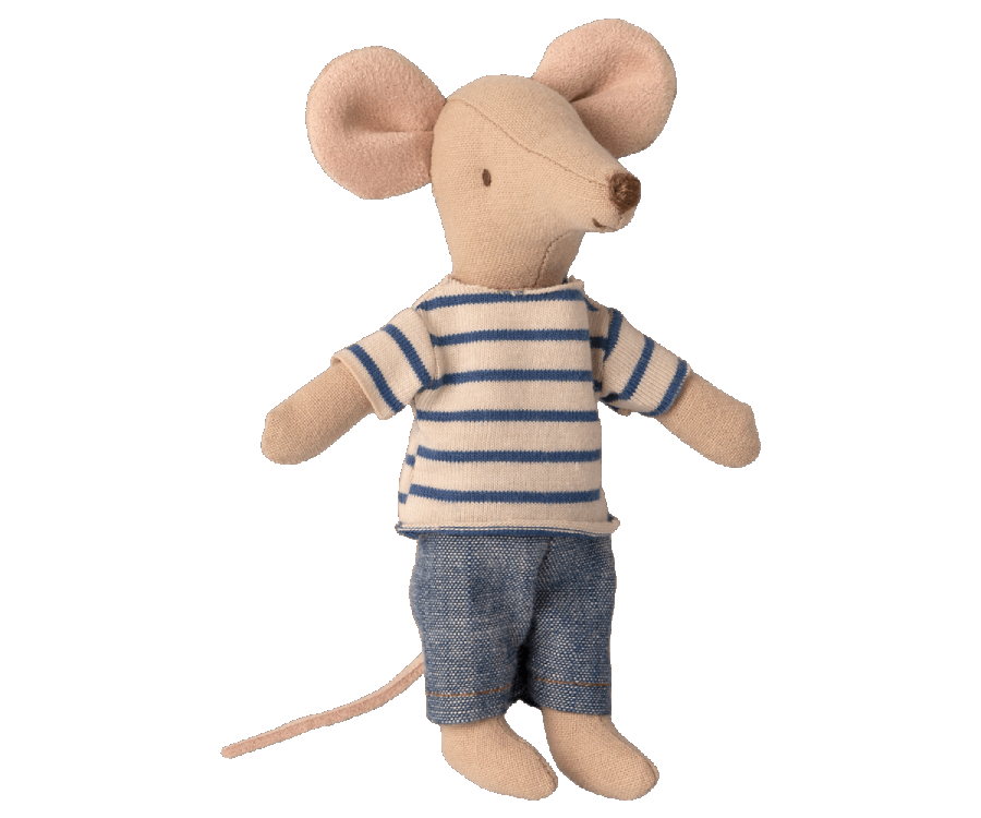 Big brother mouse in matchbox