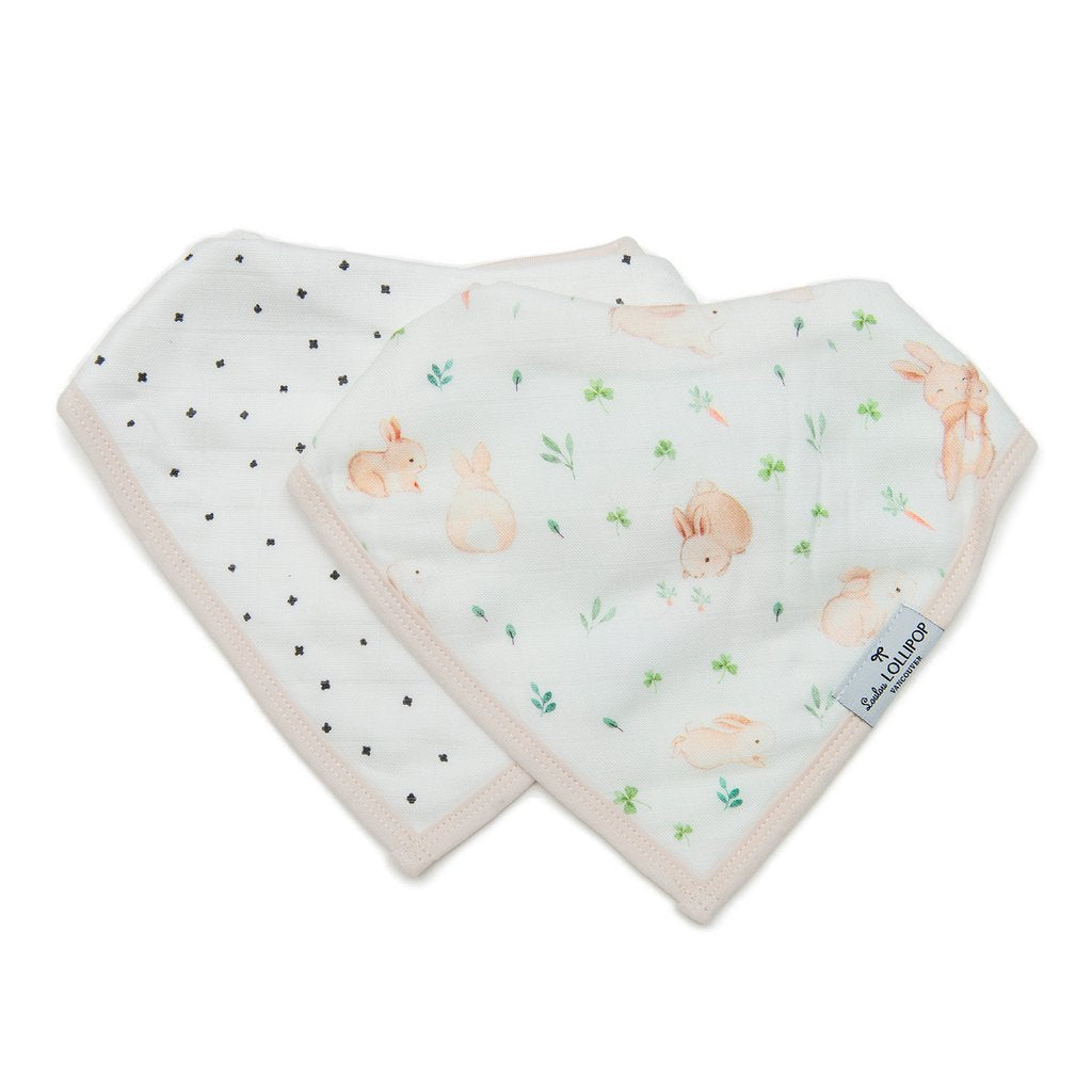 Bandana Bib Set