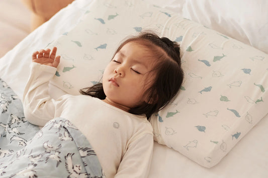 Organic Cotton Toddler Pillow with Pillowcase (Small)