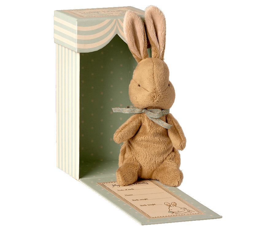 My First Bunny, Light Blue