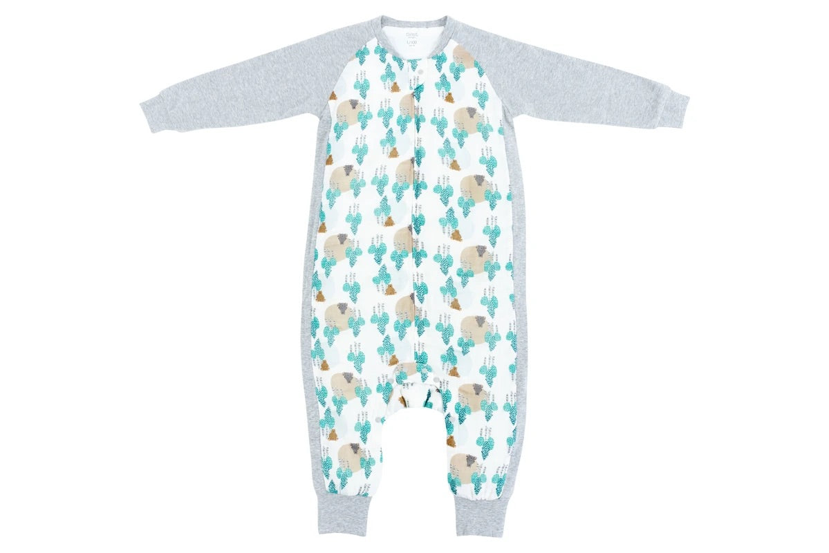 Raglan Bamboo Long Sleeve Sleep Suit 2.5 TOG