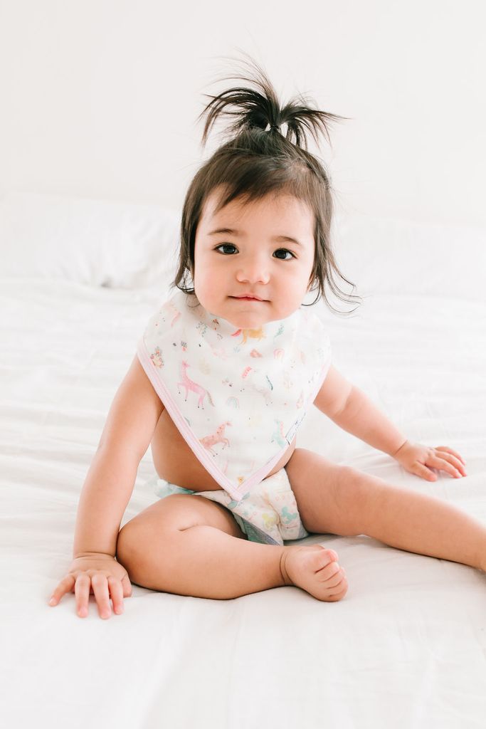 Bandana Bib Set