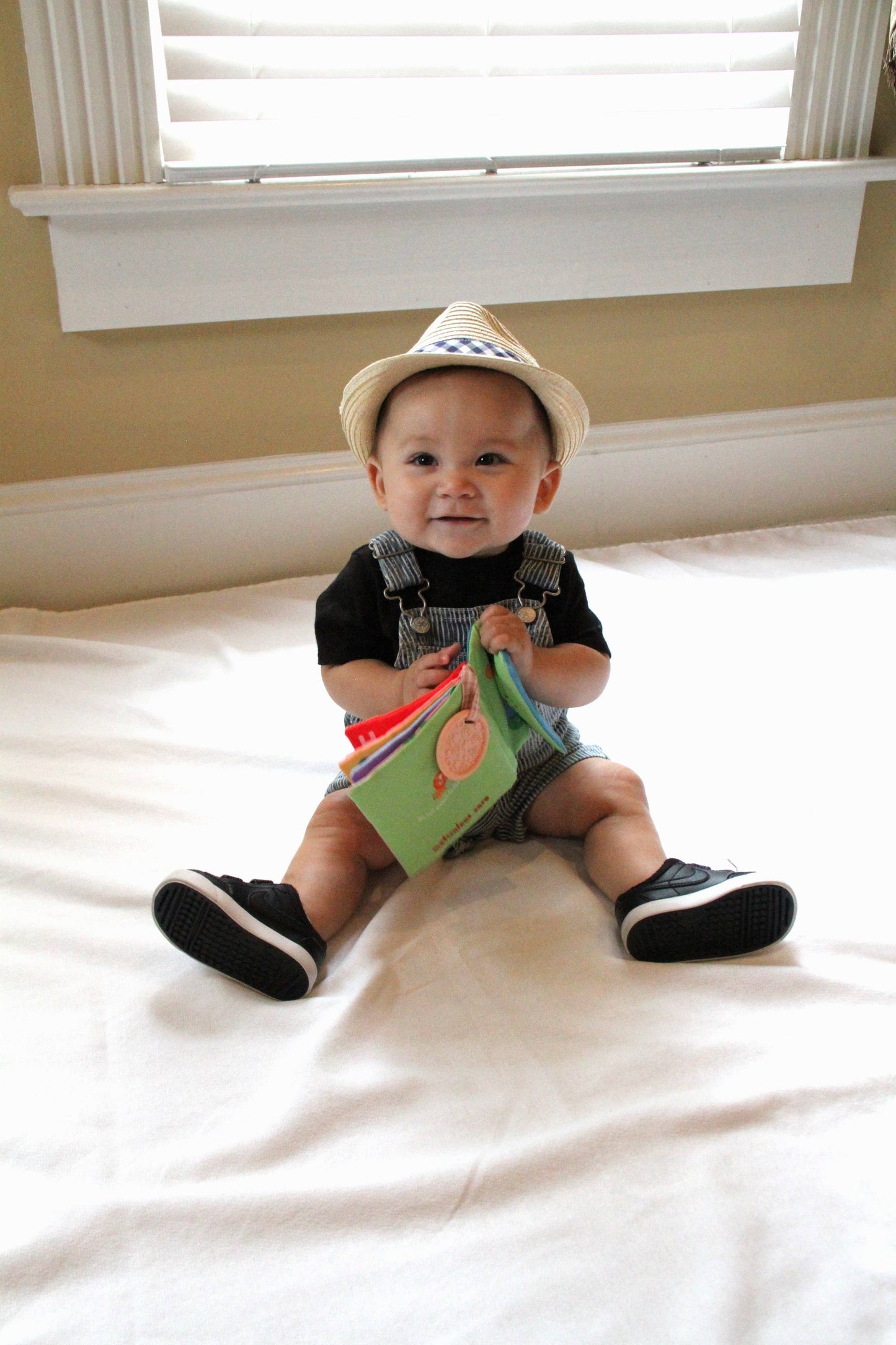 Cloth Books with Teether