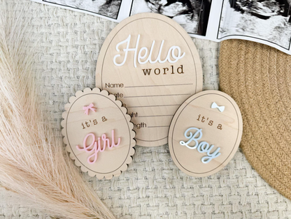 Baby Gender Reveal and Stats Sign