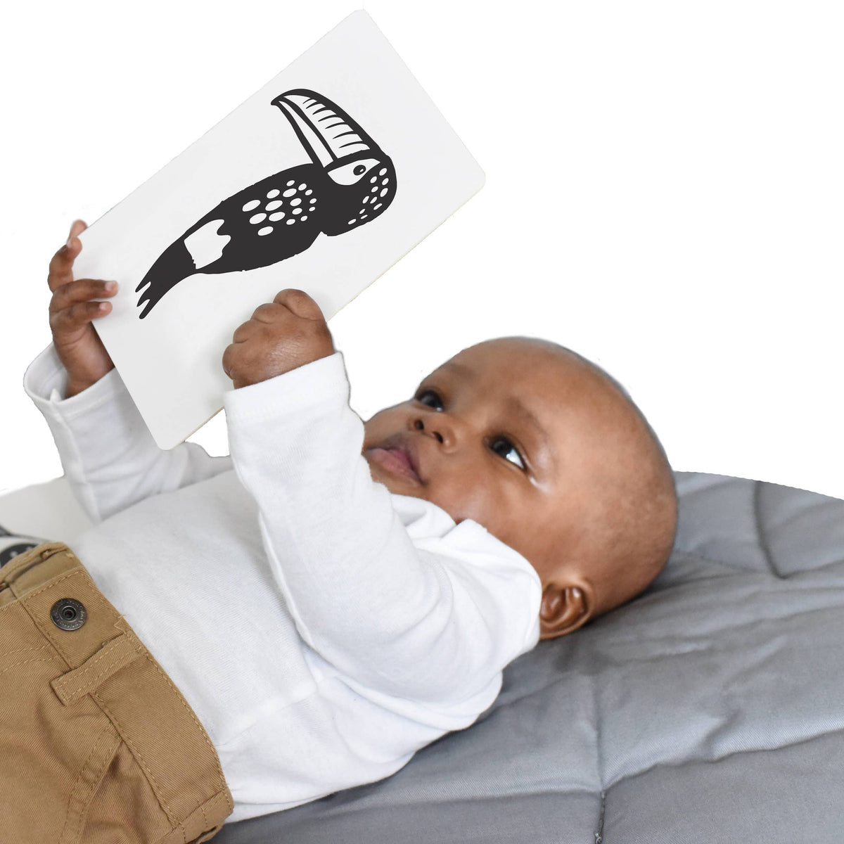 Art Cards for Baby - Rainforest Animals - Infant Flash Cards