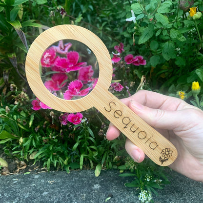 Magnifying Glass: Mushroom / Explore