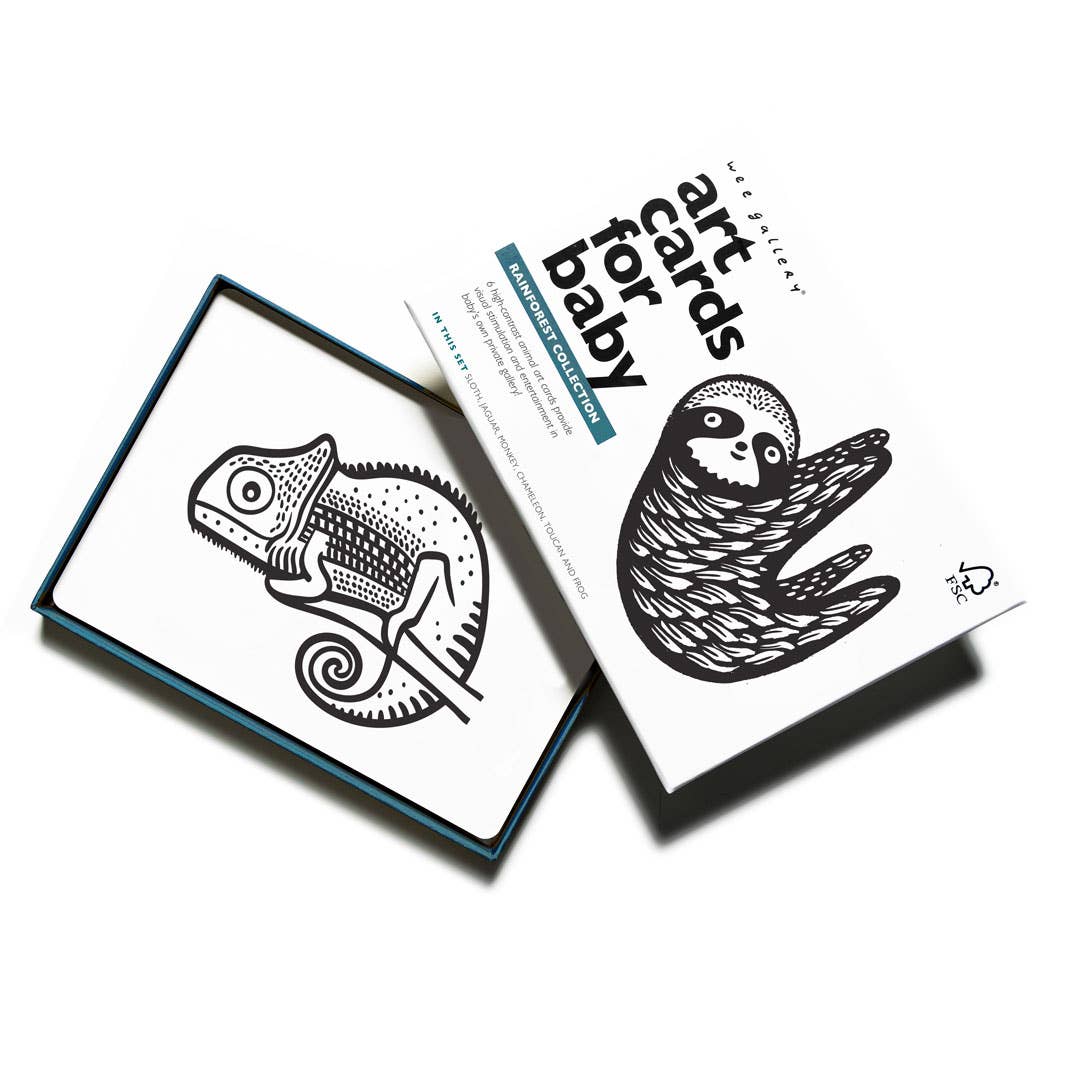 Art Cards for Baby - Rainforest Animals - Infant Flash Cards