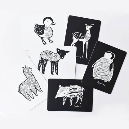 Art Cards for Baby - Baby Animals - Infant Flash Cards