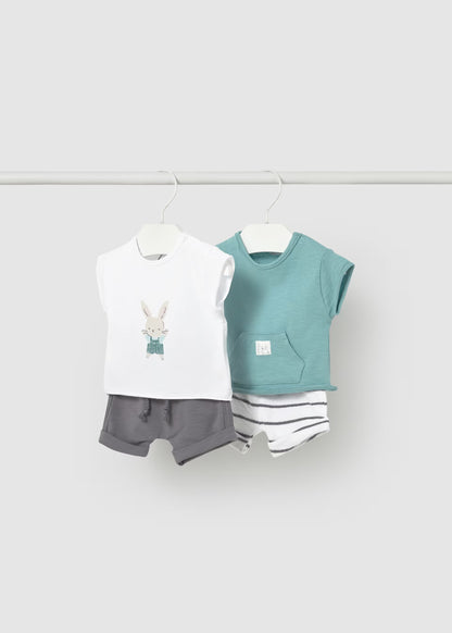 Newborn Boy 4-piece Shorts Set - Glass