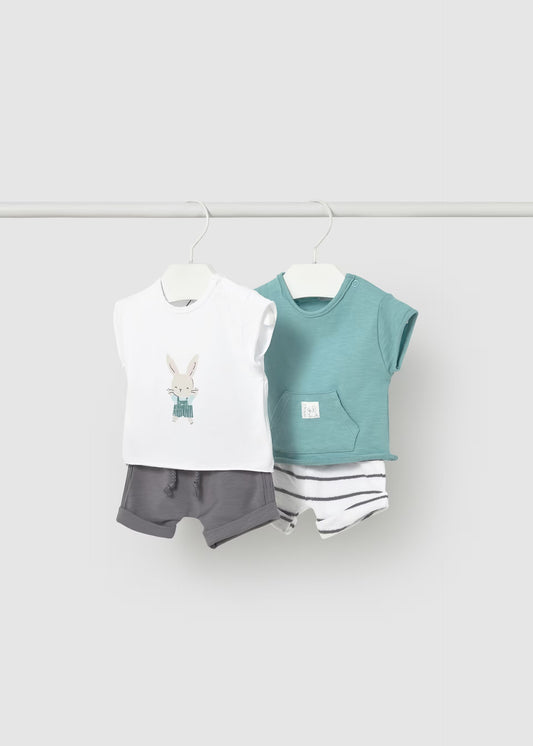 Newborn Boy 4-piece Shorts Set - Glass