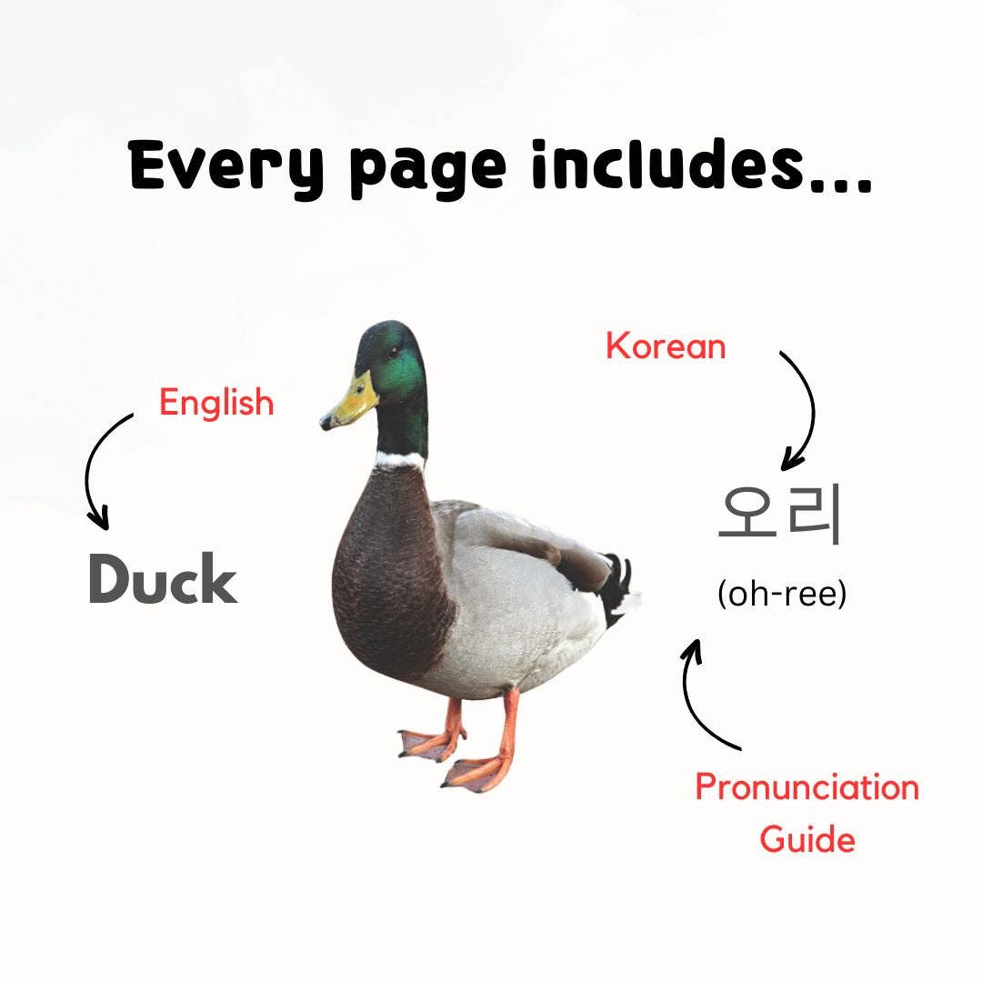My First 100 Korean Words