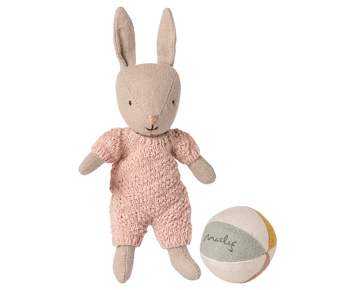 Rabbit set, Micro