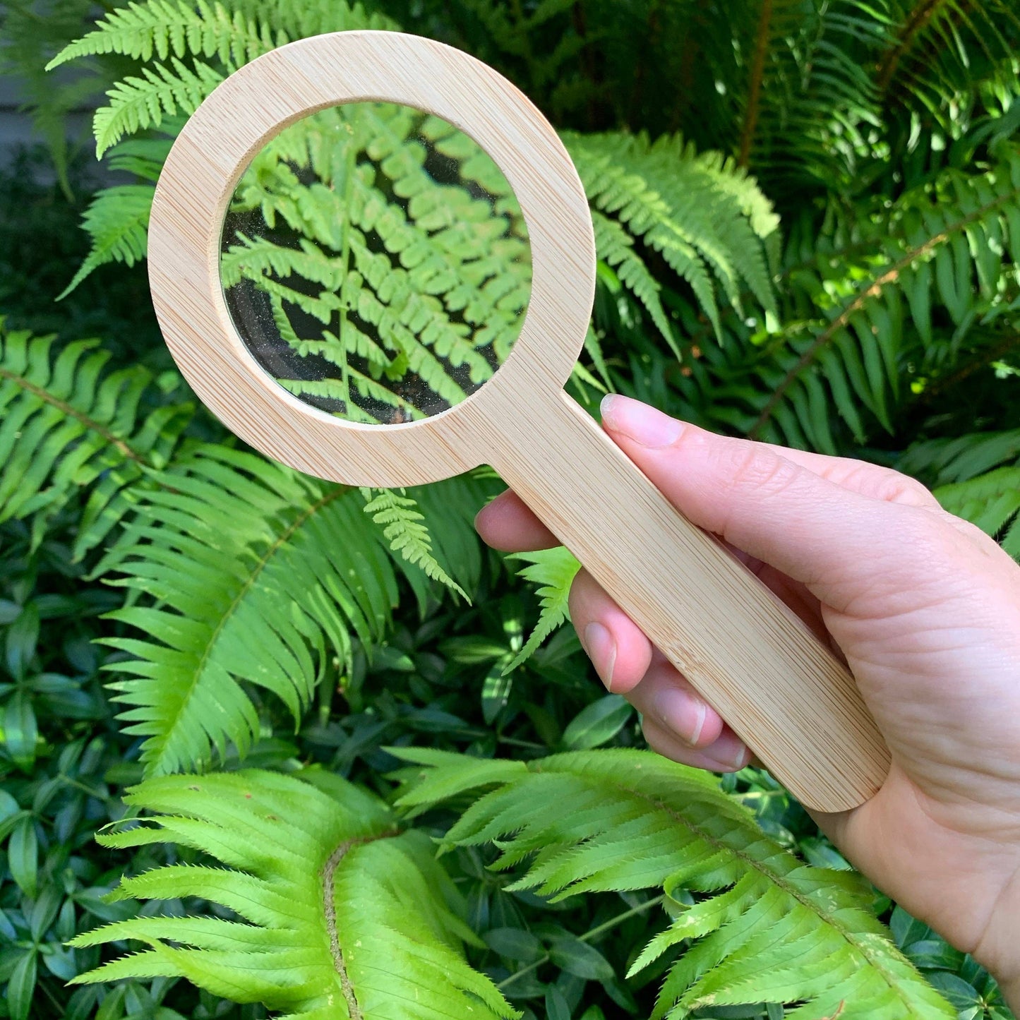 Magnifying Glass: Mushroom / Explore