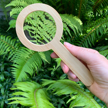 Magnifying Glass: Mushroom / Explore