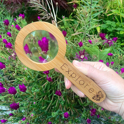 Magnifying Glass: Mushroom / Explore