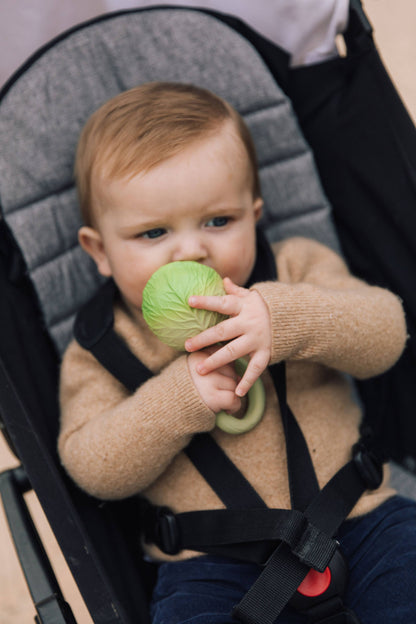 Cabbage Rattle Toy
