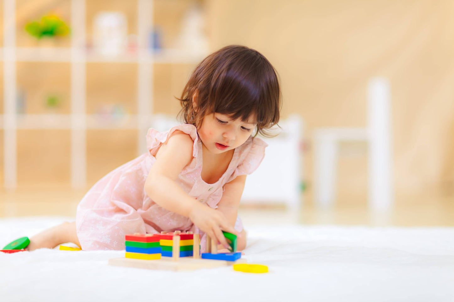 PlanToys Geometric Sorting Board