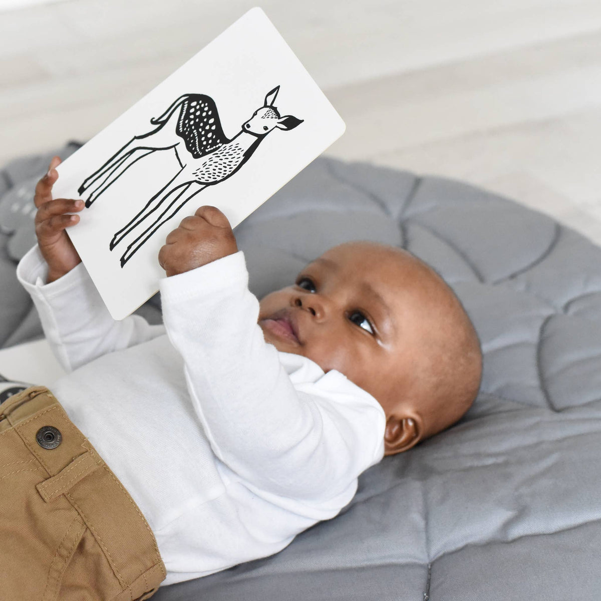 Art Cards for Baby - Baby Animals - Infant Flash Cards