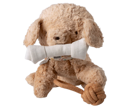 Pet supply, Toys