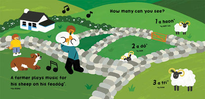 Our World: Ireland: Board Book