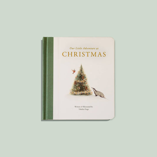 Our Little Adventure at Christmas (Baby's first Christmas)