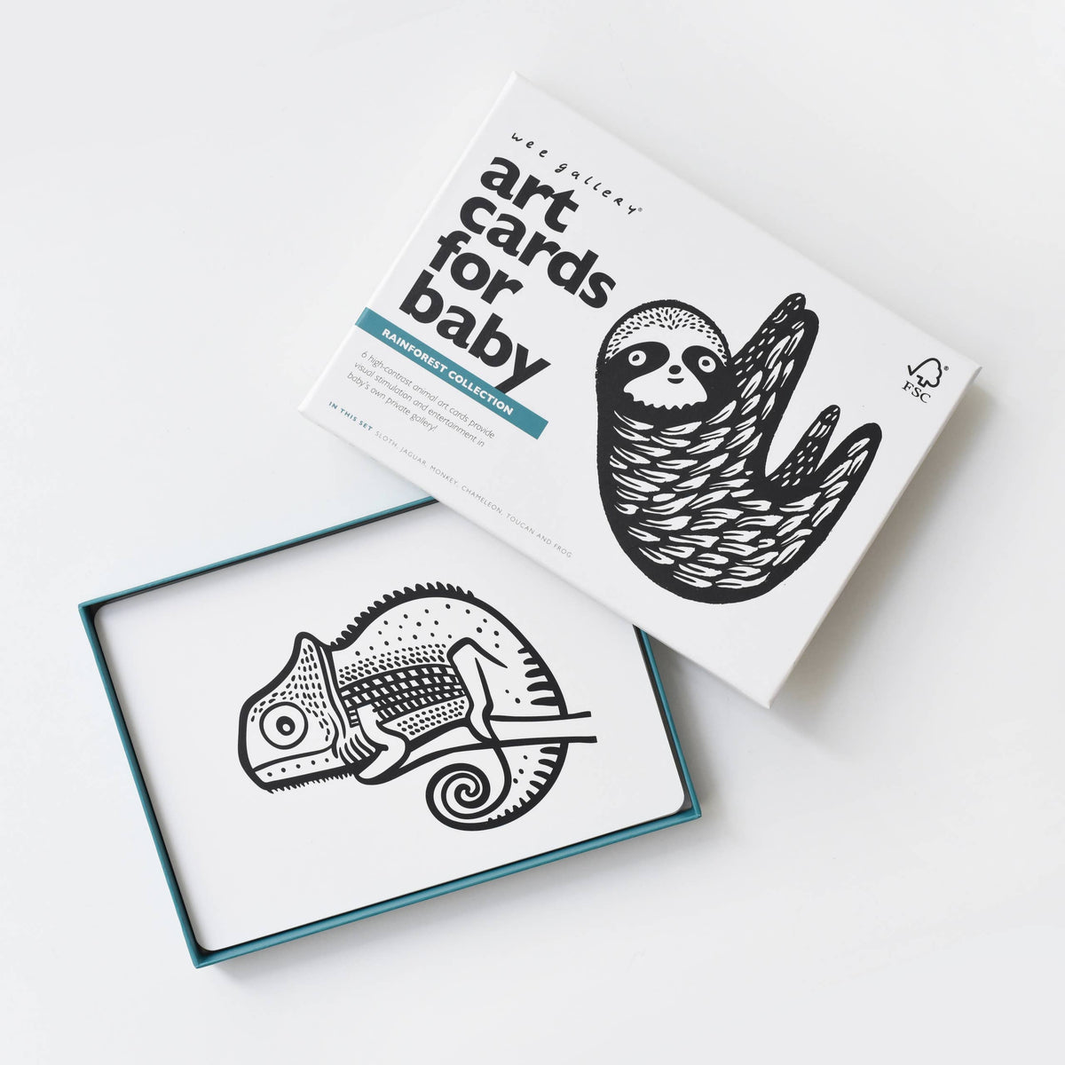 Art Cards for Baby - Rainforest Animals - Infant Flash Cards