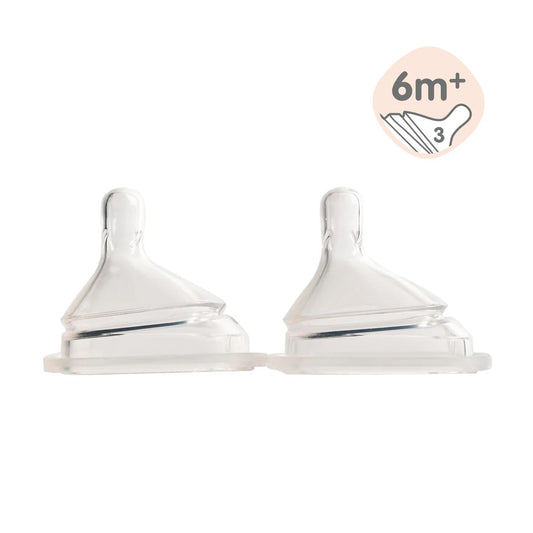 HEGEN NIPPLE FAST FLOW, 2-PACK (6 MONTHS AND BEYOND)