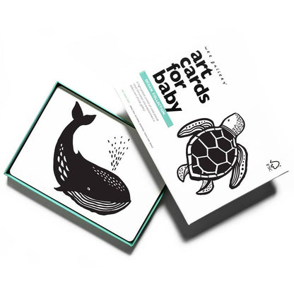 Art Cards for Baby - Ocean Animals - Infant Flash Cards