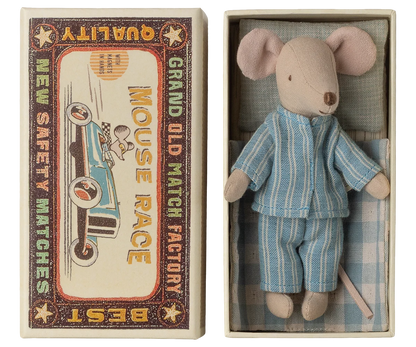Big brother mouse in matchbox