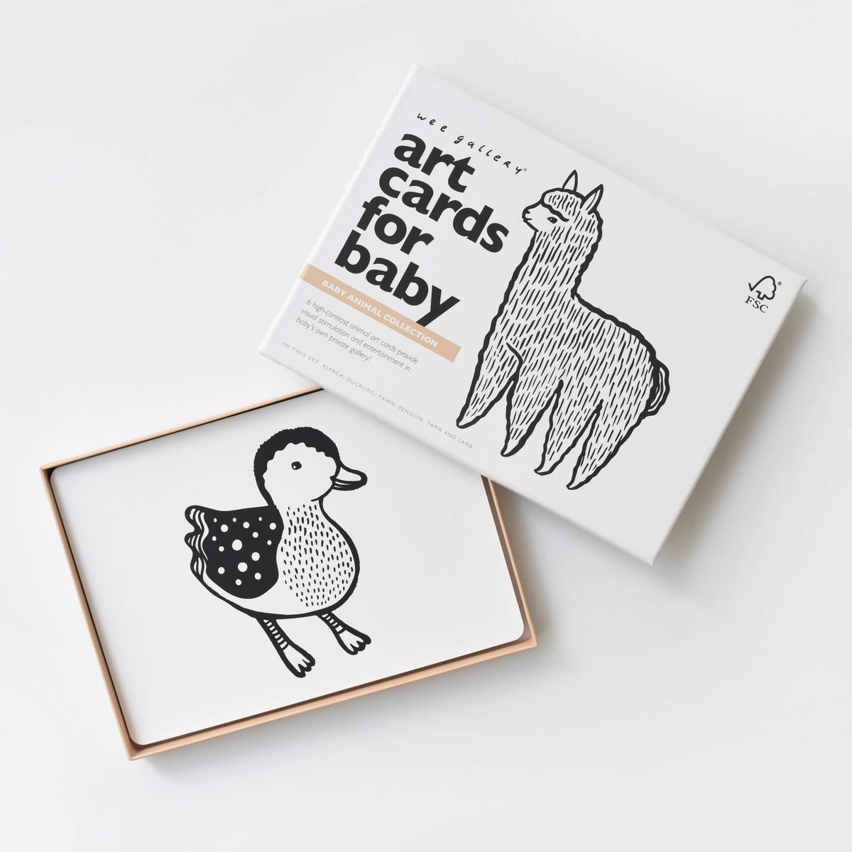 Art Cards for Baby - Baby Animals - Infant Flash Cards