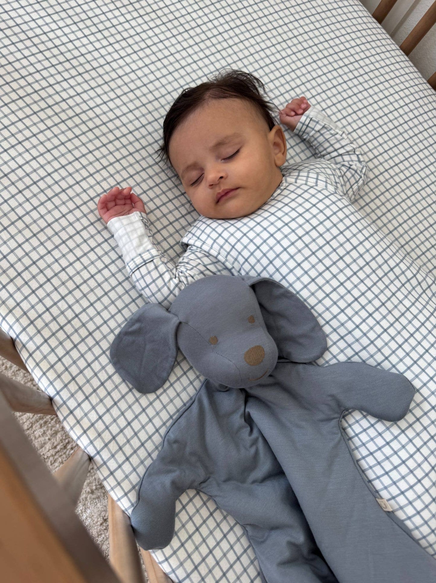 FW26 LOVEY PUP: Peanut