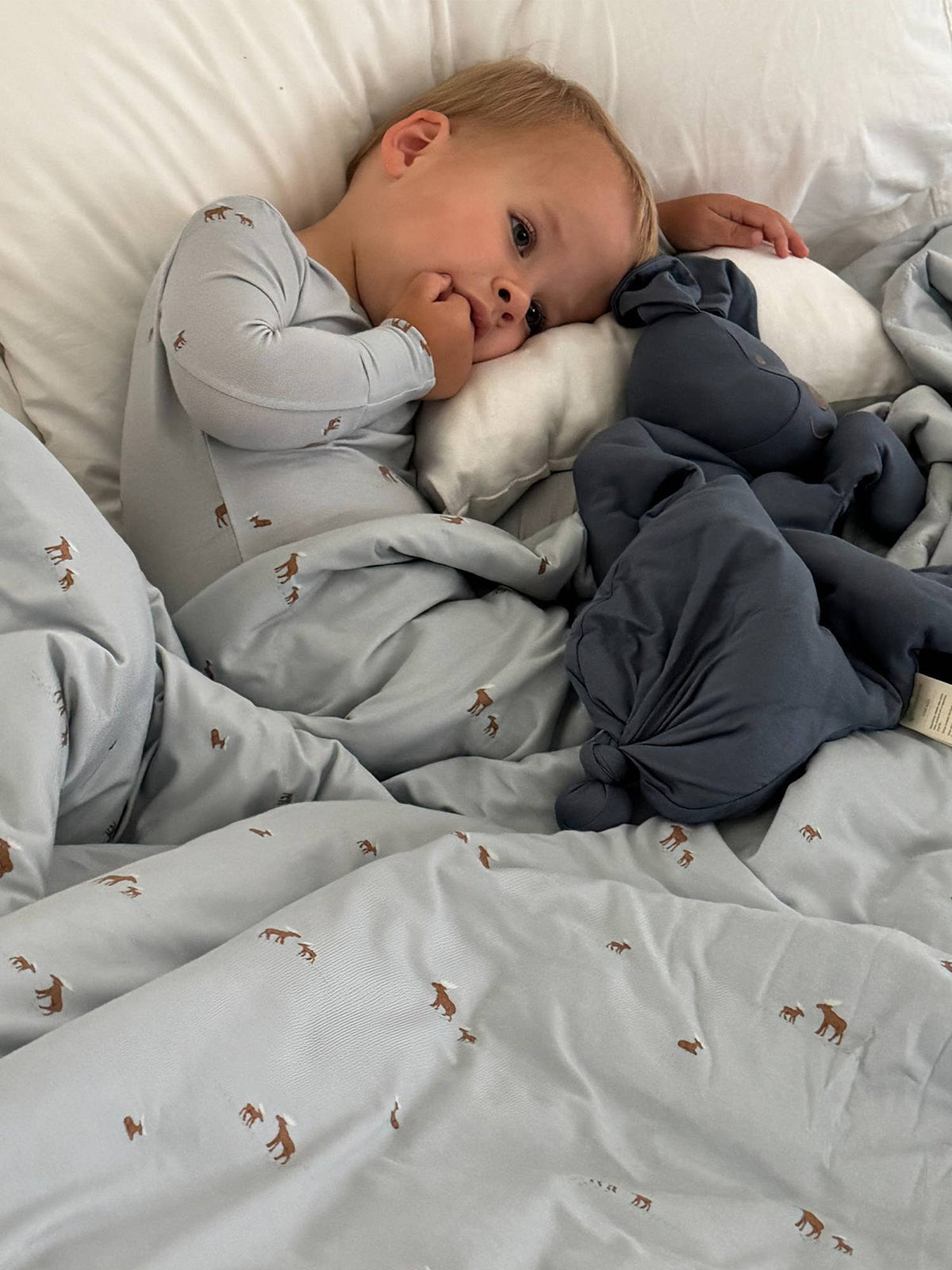 FW26 Twin Blanket 1.0: Football goose / 1