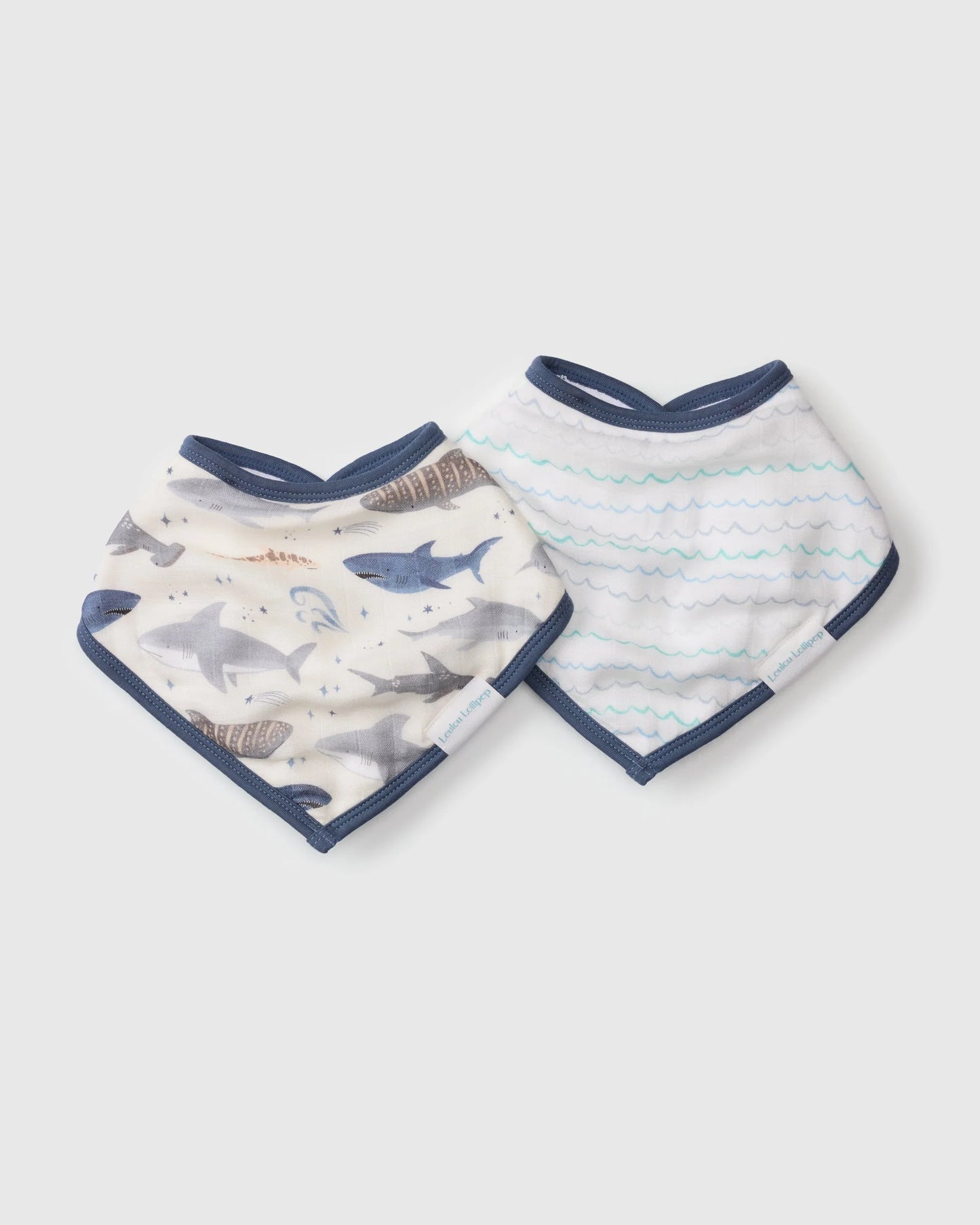 Bandana Bib Set