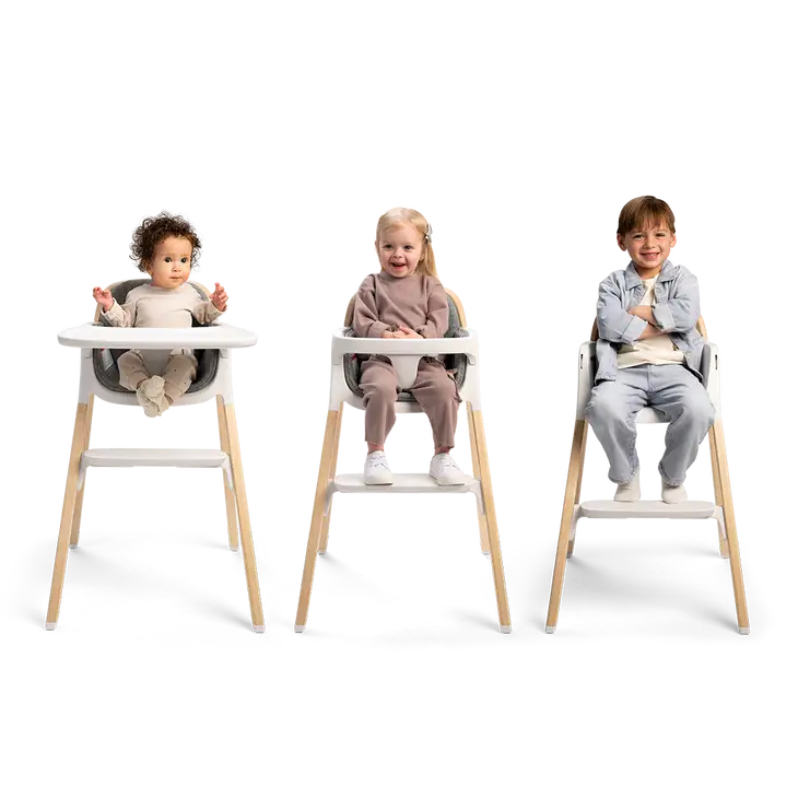 Nuna Bryn High Chair