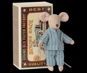 Big brother mouse in matchbox