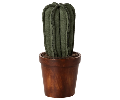 Flower pot with cactus