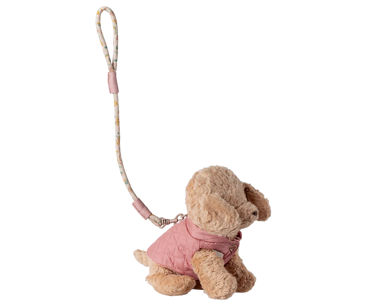 Pet supply, Harness and leash - Rose