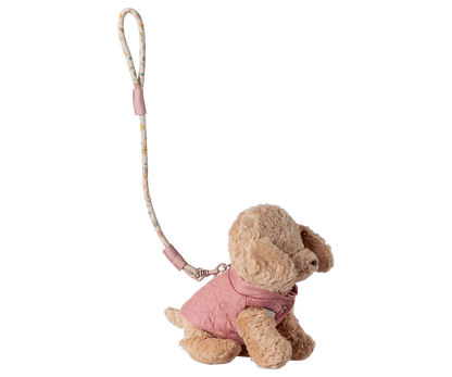 Pet supply, Harness and leash - Rose