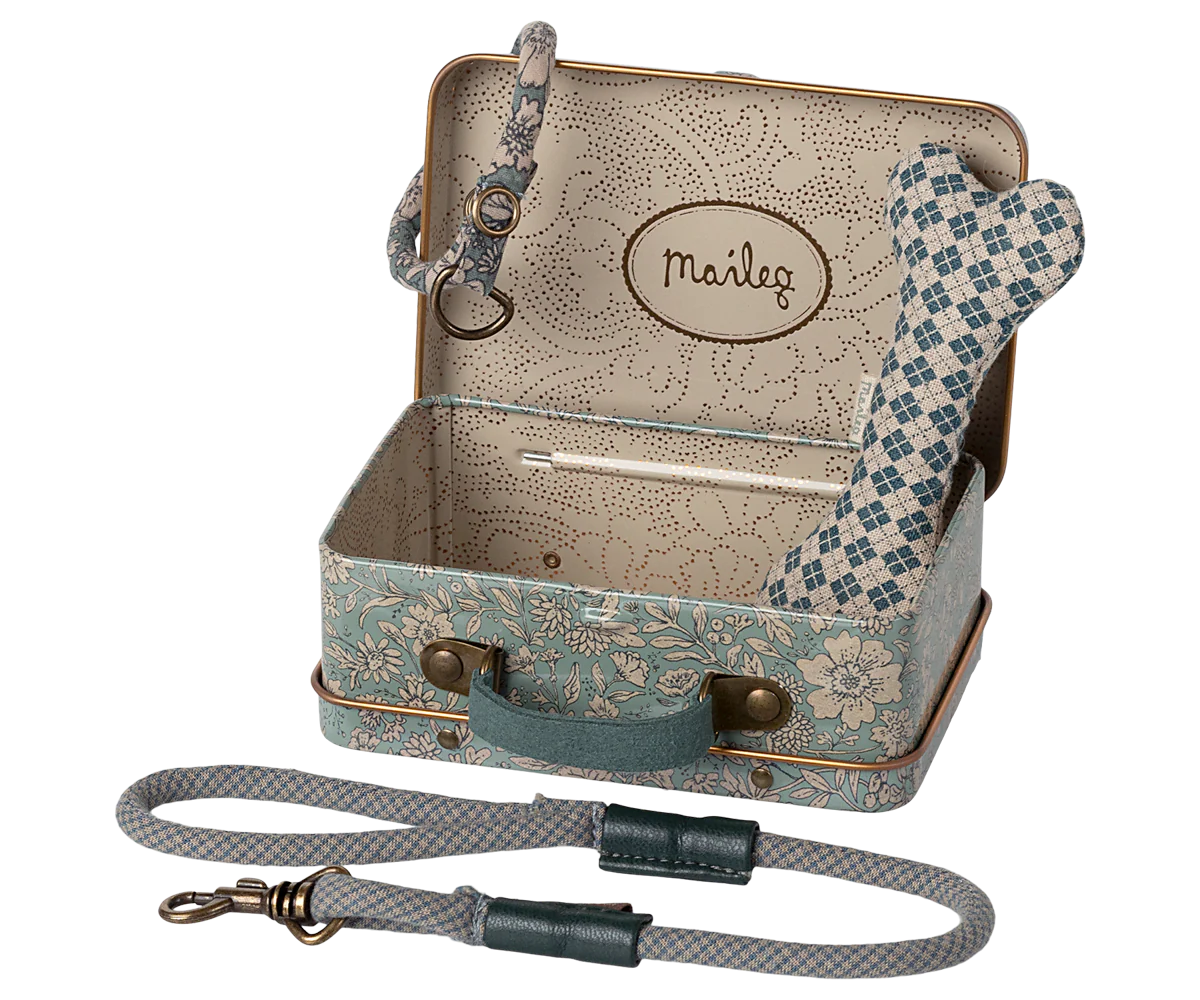 Dog supply, Accessories