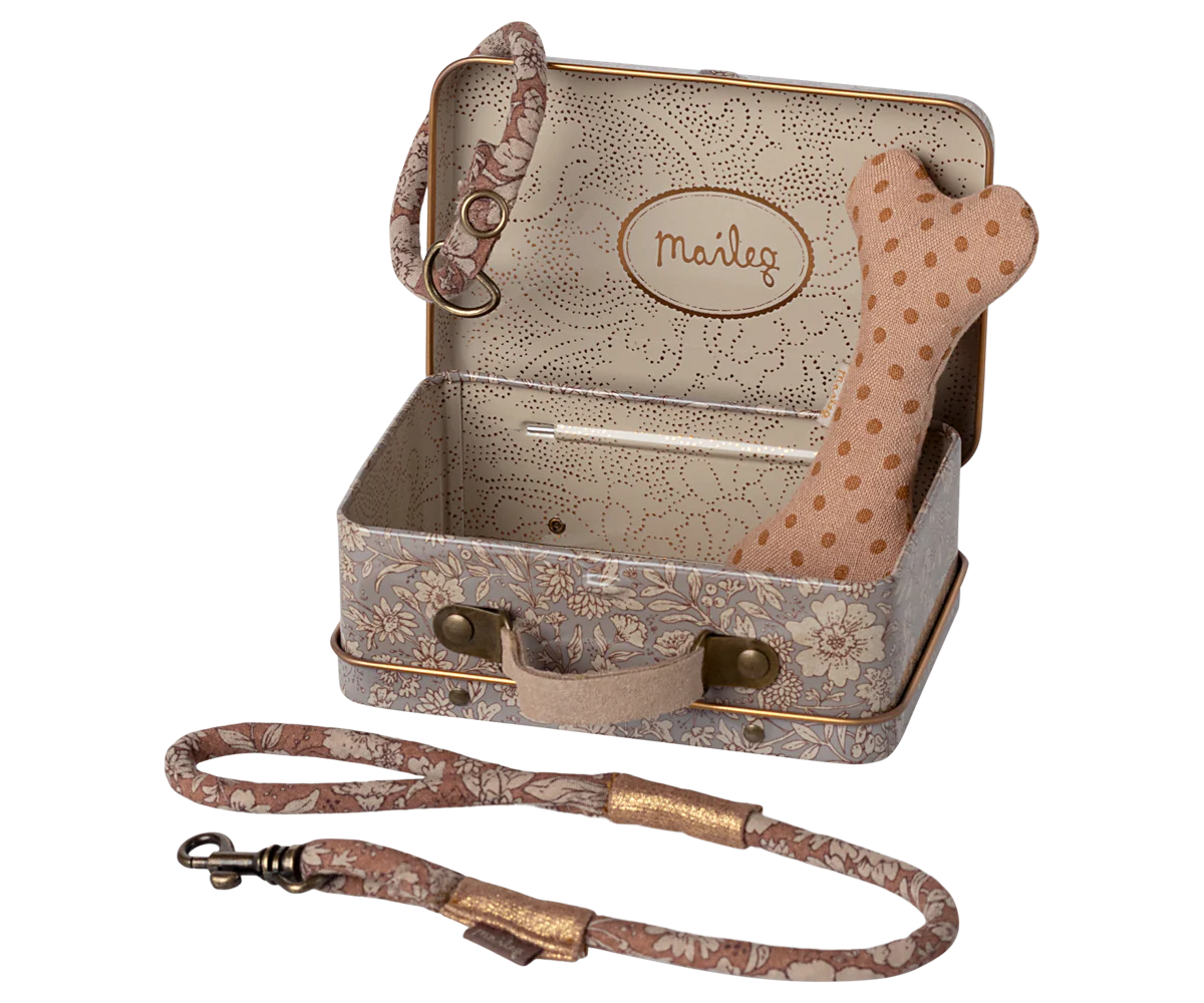 Dog supply, Accessories
