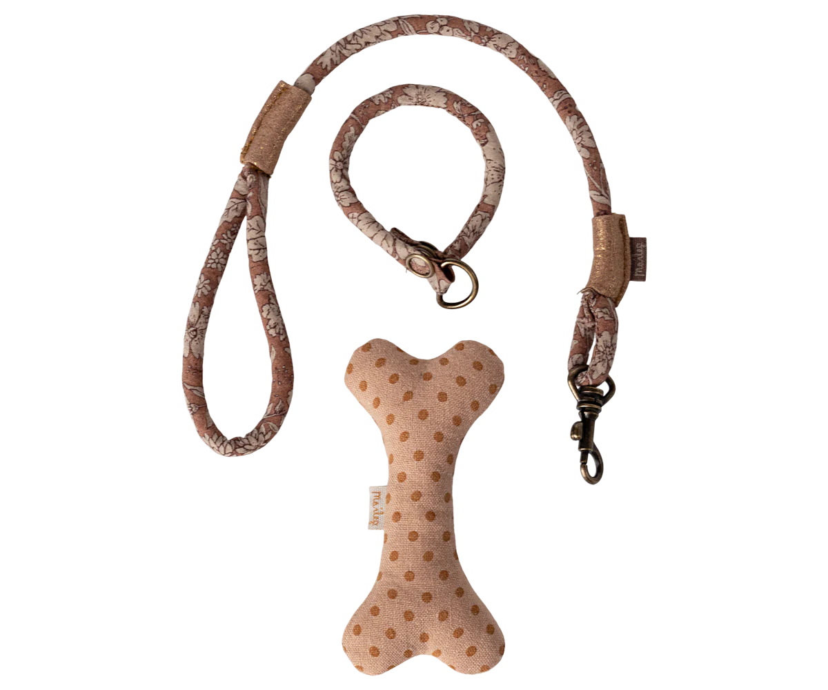 Dog supply, Accessories